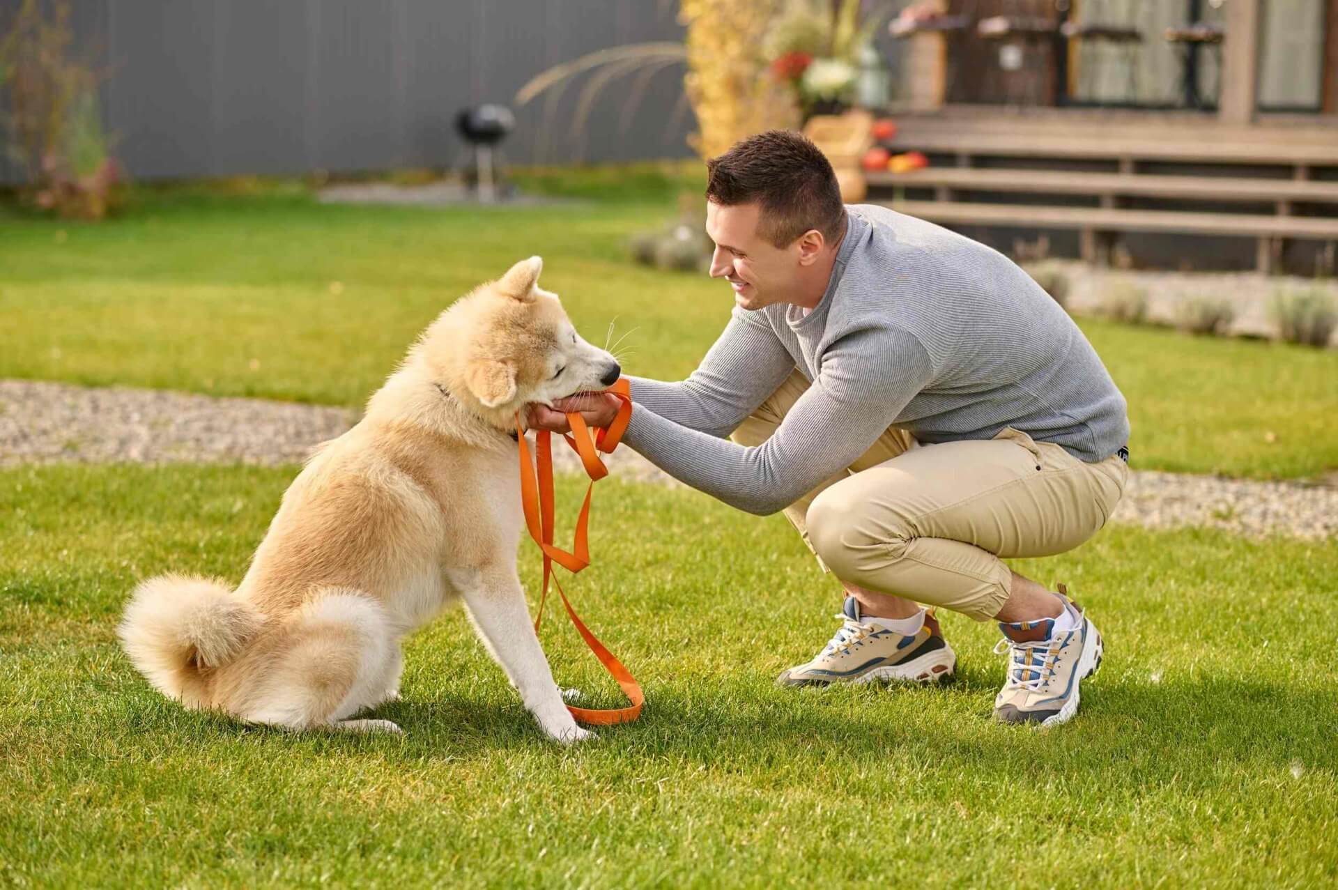 dog and man