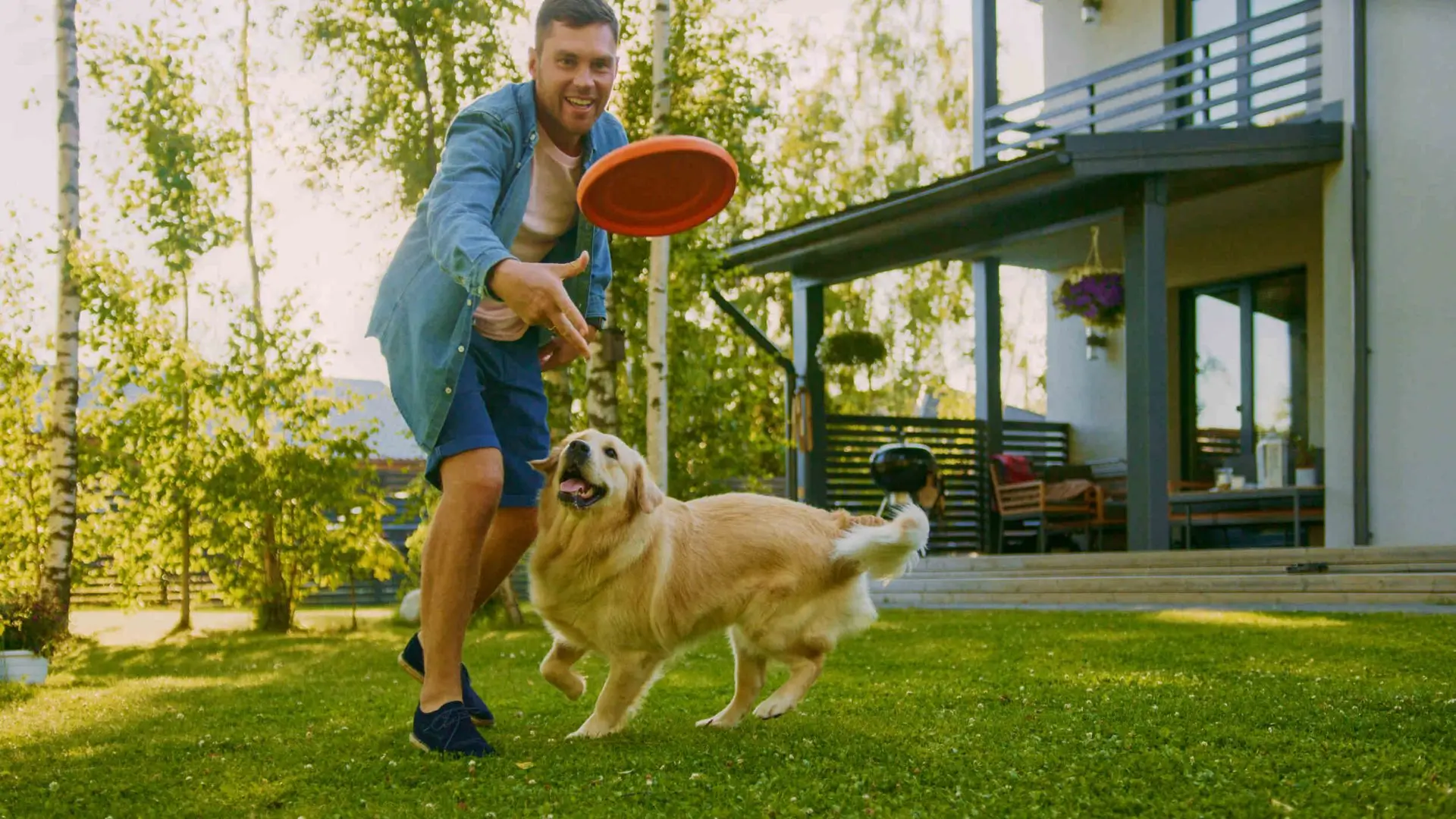pet friendly nuravet